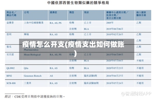 疫情怎么开支(疫情支出如何做账)
