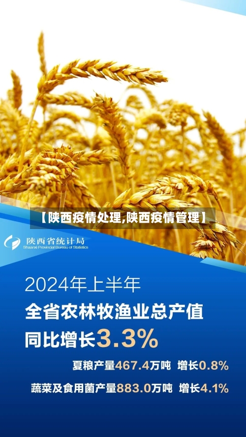 【陕西疫情处理,陕西疫情管理】