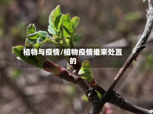 植物与疫情/植物疫情谁来处置的