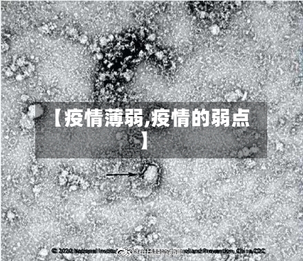 【疫情薄弱,疫情的弱点】